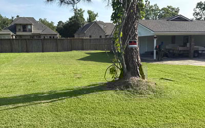 Photo of Timothy J.'s yard after getting lawn care in Kernersville, NC
