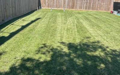 Photo of Dorothy W.'s yard after getting lawn care in Kenner, LA