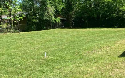 Photo of Mabel C.'s yard after getting lawn care in San Mateo, CA