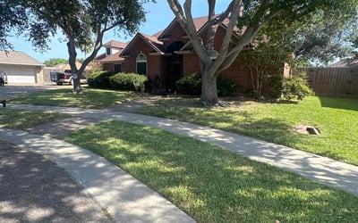 Photo of Andrea C.'s yard after getting lawn care in Corpus Christi, TX