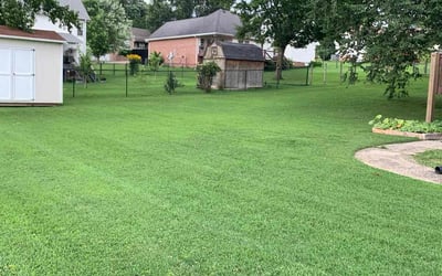 Photo of Tatevik H.'s yard after getting lawn care in Fresno, CA