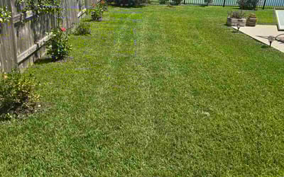 Photo of Estella C.'s yard after getting lawn care in Richmond, CA