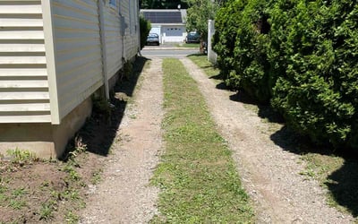Photo of Angelica L.'s yard after getting lawn care in Plainville, CT