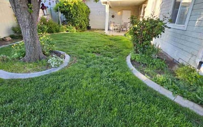 Photo of Nicholas T.'s yard after getting lawn care in Meridian, ID