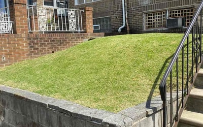 Photo of Lincoln A.'s yard after getting lawn care in Philadelphia, PA