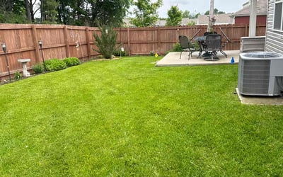 Photo of Penelope B.'s yard after getting lawn care in Bon Aqua, TN
