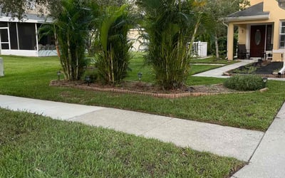 Photo of Lara G.'s yard after getting lawn care in Citrus Park, FL
