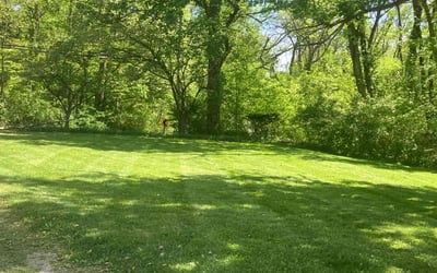 Photo of Robert H.'s yard after getting lawn care in Prospect, KY