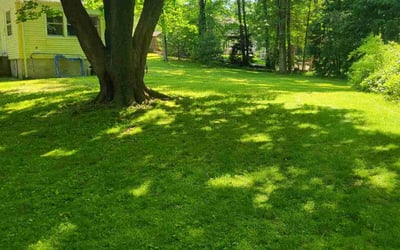 Photo of Beverly C.'s yard after getting lawn care in Glastonbury, CT