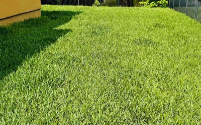 Photo of Rl, E.'s yard after getting lawn care in Jupiter, FL