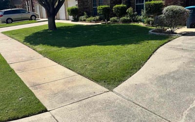 Photo of Nate R.'s yard after getting lawn care in Circleville, OH