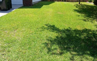 Photo of Angela P.'s yard after getting lawn care in Hilton Head Island, SC