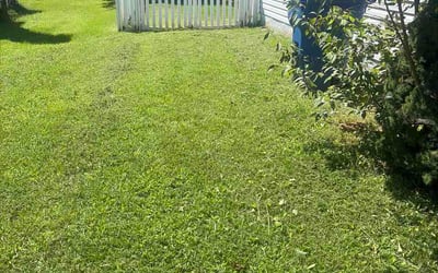 Photo of Gabe D.'s yard after getting lawn care in Pleasant Hill, MO