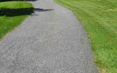 Photo of Tanya R.'s yard after getting lawn care in Damascus, MD