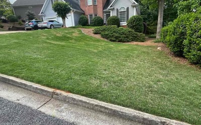 Photo of Amy H.'s yard after getting lawn care in Brandon, FL