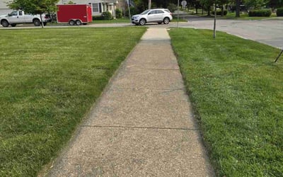 Photo of Alcedo P.'s yard after getting lawn care in Mount Dora, FL