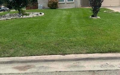 Photo of Jamar W.'s yard after getting lawn care in Harker Heights, TX