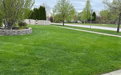 Photo of Thom W.'s yard after getting lawn care in Round Lake, IL