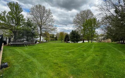 Photo of Bentley W.'s yard after getting lawn care in Oakdale, PA