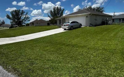 Photo of Marquise G.'s yard after getting lawn care in Westfield, IN