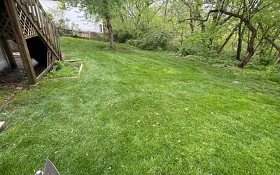 Photo of Debora J.'s yard after getting lawn care in Independence, MO