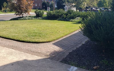 Photo of Scott O.'s yard after getting lawn care in Haddonfield, NJ