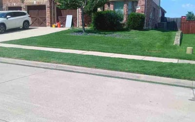Photo of Diana P.'s yard after getting lawn care in Shafter, CA