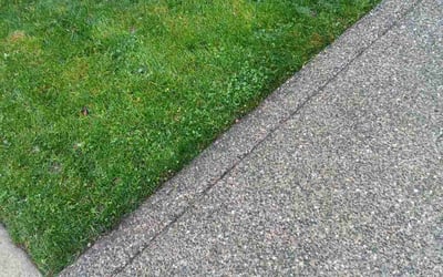 Photo of Elizabeth R.'s yard after getting lawn care in Poulsbo, WA