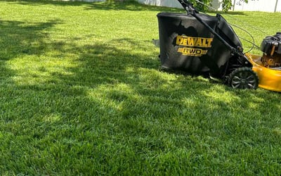 Photo of Keith P.'s yard after getting lawn care in Spanish Fork, UT