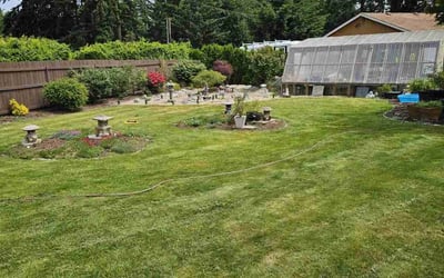 Photo of Maria S.'s yard after getting lawn care in Bonney Lake, WA