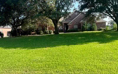 Photo of Roxanne R.'s yard after getting lawn care in Crosby, TX