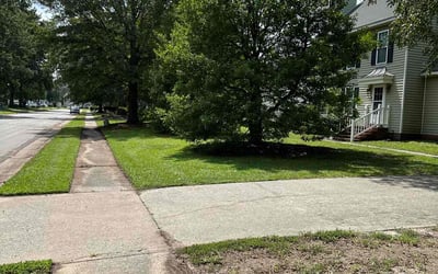Photo of Jadi T.'s yard after getting lawn care in Goldsboro, NC