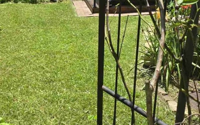 Photo of Johanna M.'s yard after getting lawn care in Mcminnville, OR