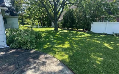 Photo of Randy R.'s yard after getting lawn care in Hinsdale, IL