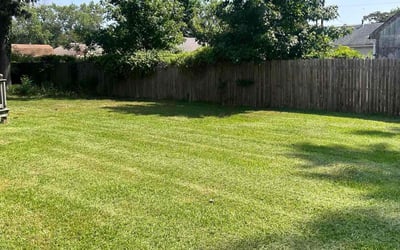 Photo of Samantha P.'s yard after getting lawn care in Stow, OH