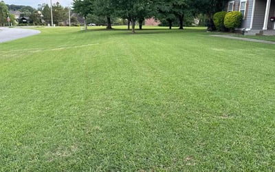 Photo of Brittney W.'s yard after getting lawn care in Auburn, AL