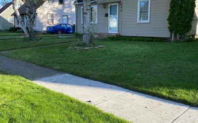 Photo of Virgil A.'s yard after getting lawn care in Dewitt, MI