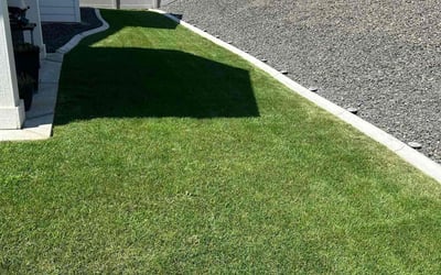 Photo of Alicia a.'s yard after getting lawn care in Kennewick, WA