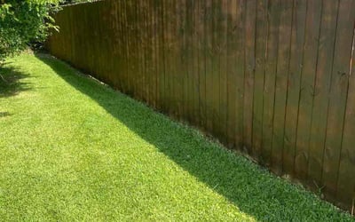 Photo of Jared G.'s yard after getting lawn care in Hampton, VA