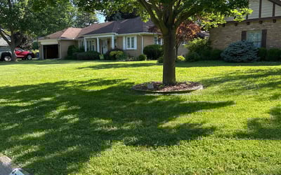 Photo of Latalya P.'s yard after getting lawn care in Mishawaka, IN
