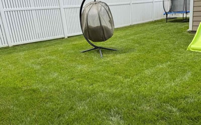 Photo of Anthony W.'s yard after getting lawn care in Malvern, PA