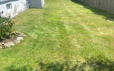 Photo of Thomas W.'s yard after getting lawn care in Nyack, NY