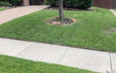 Photo of Julia F.'s yard after getting lawn care in Coppell, TX