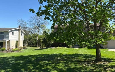 Photo of Opal D.'s yard after getting lawn care in Corona, CA
