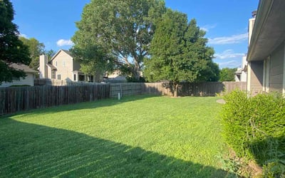 Photo of Evelyn T.'s yard after getting lawn care in Newton, KS
