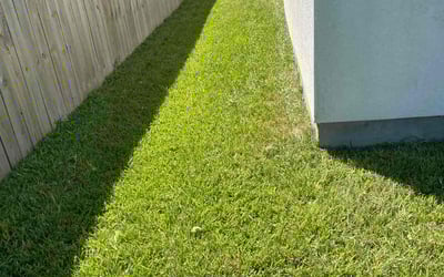 Photo of Tyler H.'s yard after getting lawn care in Rockport, TX