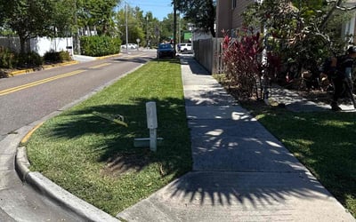 Photo of Jessica F.'s yard after getting lawn care in Lake Forest, CA