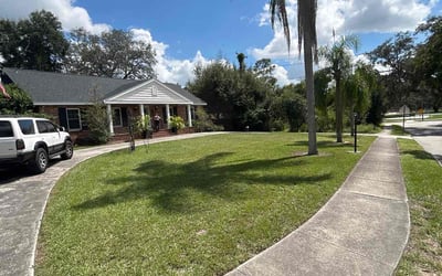 Photo of Olivia W.'s yard after getting lawn care in Gulfport, FL