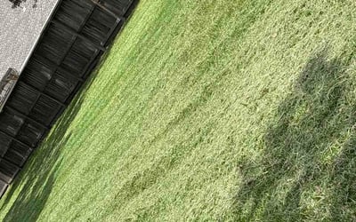 Photo of Alexandra J.'s yard after getting lawn care in Bremerton, WA