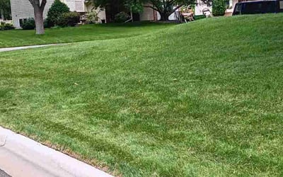 Photo of Jenna K.'s yard after getting lawn care in Champlin, MN